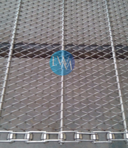 Chain Link Type Conveyor Belts 2 Chain Link Type Conveyor Belts 2